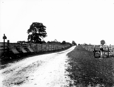 Hagestown Pike with Cornfield