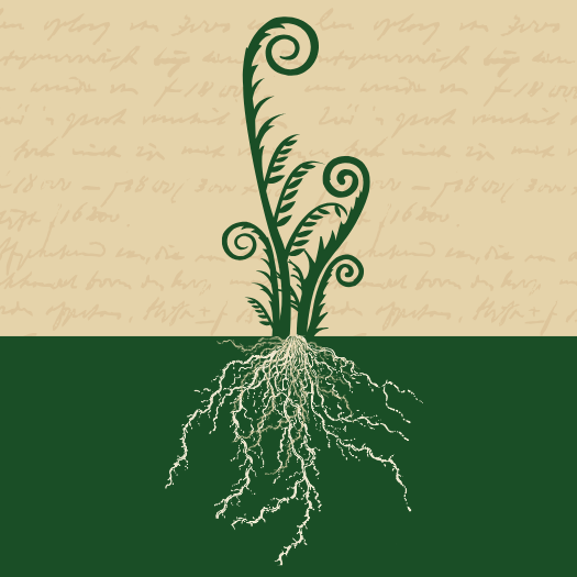 Green fern frond uncurling with roots below over green rectangle.